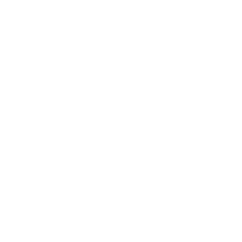 Logo-QLayer_blanc-600x574